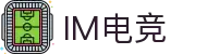 IM(股份有限公司)电竞-电子竞技平台
